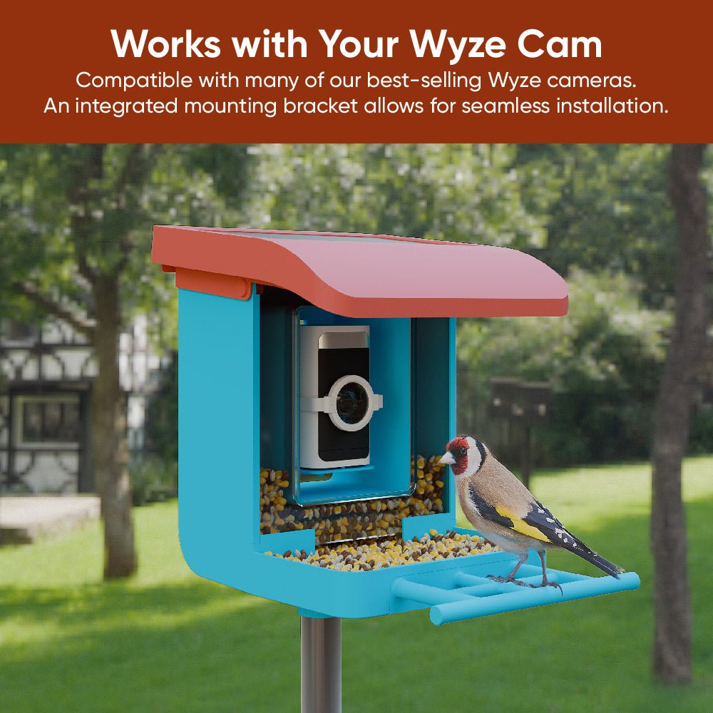 Wyze Bird Feeder - Image 5