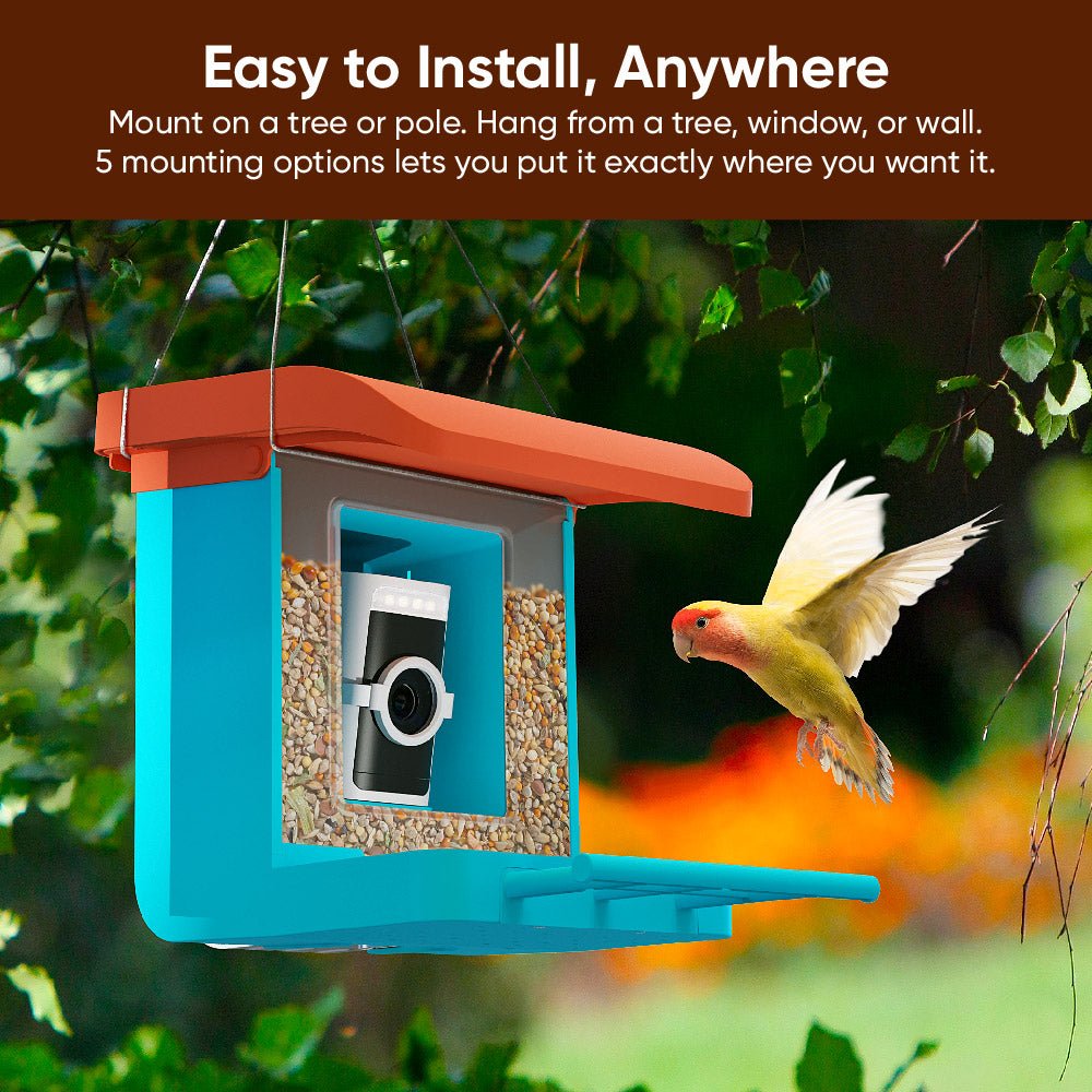 Wyze Bird Feeder - Image 4
