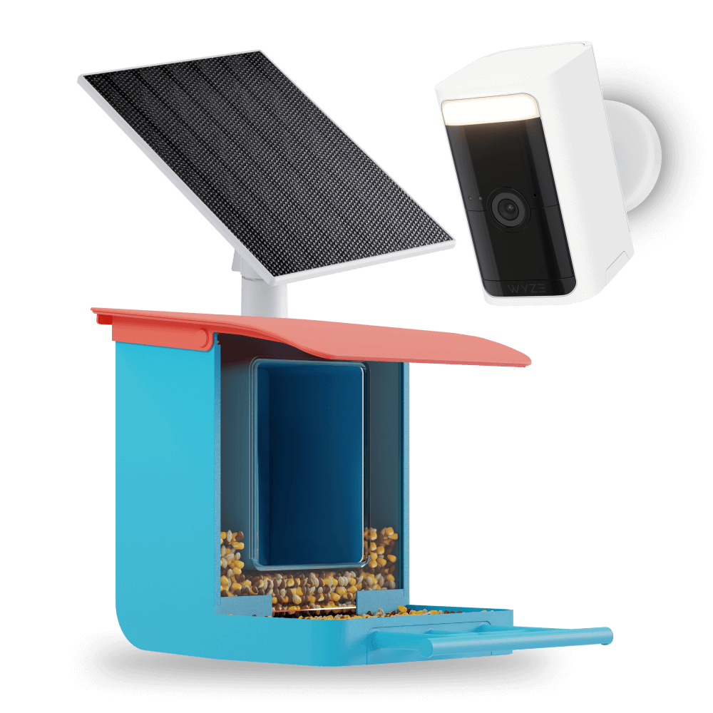 Bird Feeder Wireless Camera Bundle - Image 9