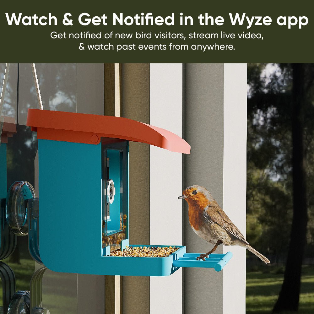 Wyze Bird Feeder - Image 7