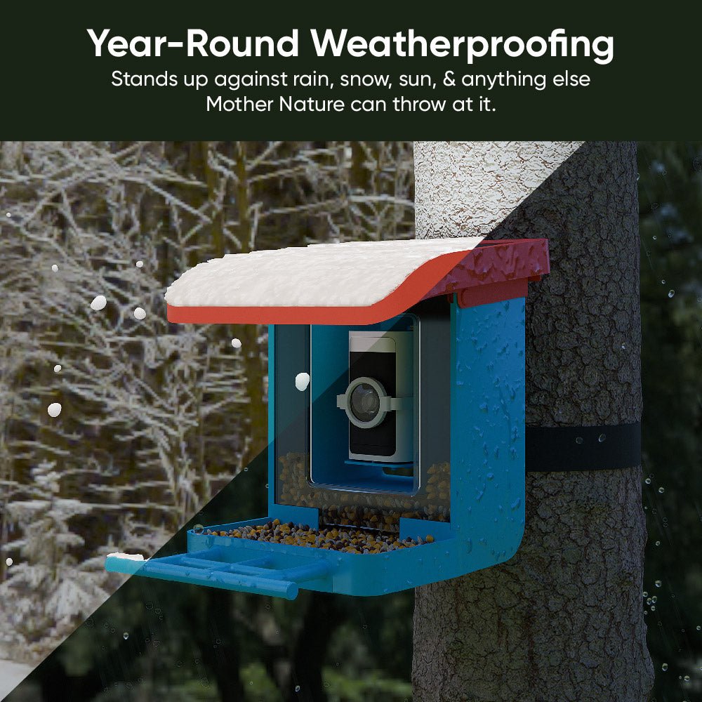 Wyze Bird Feeder - Image 3