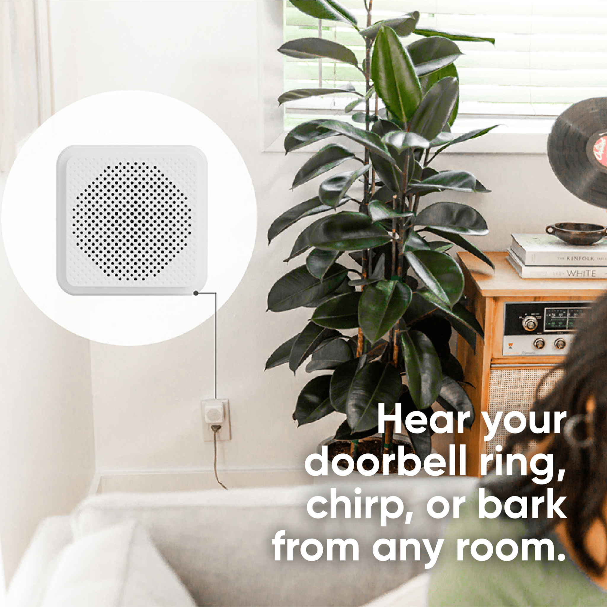 Wyze Video Doorbell (Wired) - Image 5