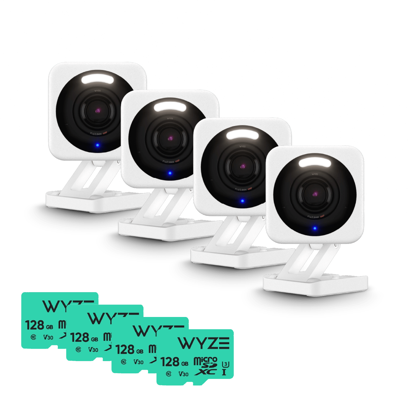 Small Business Monitoring Basic