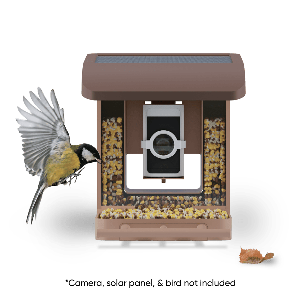 Wyze Bird Feeder - Image 10