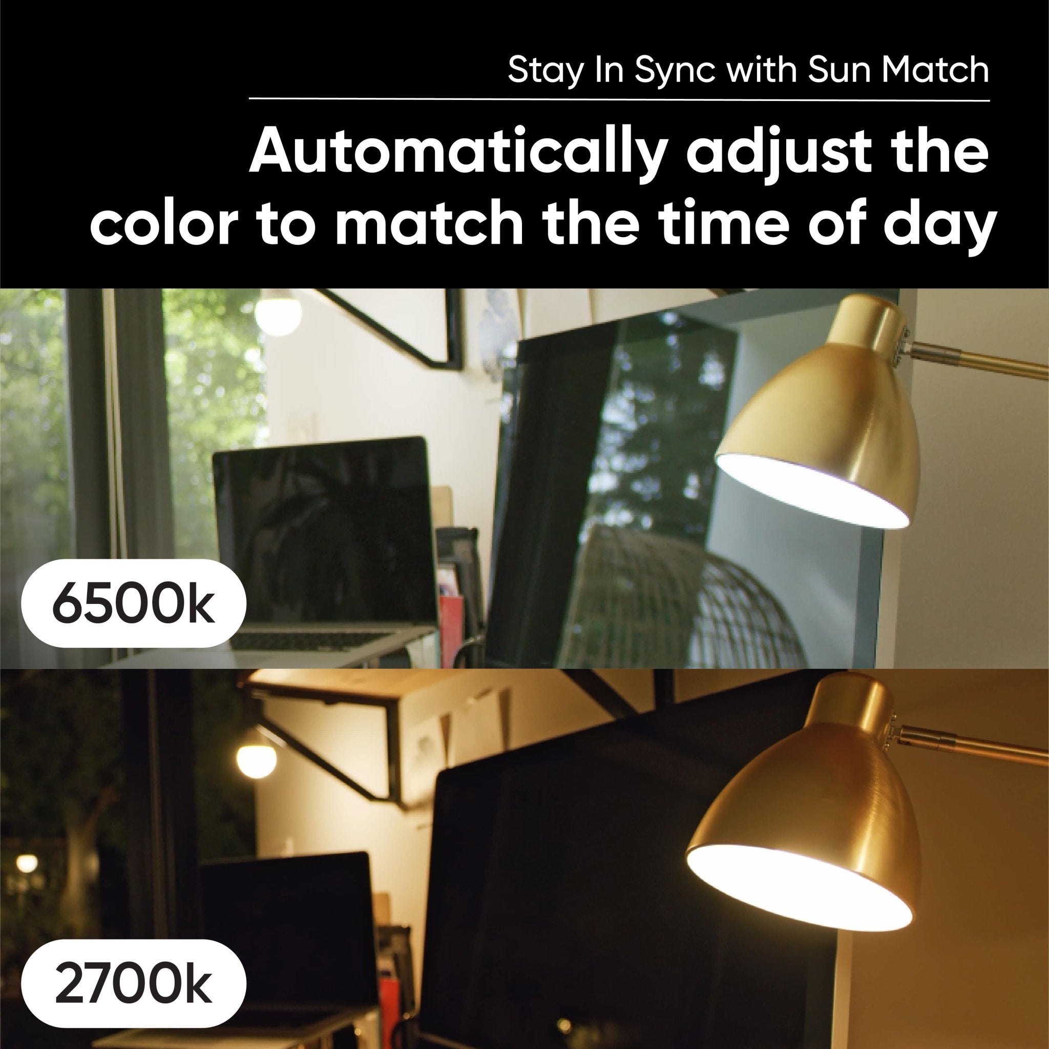 Wyze Bulb White - Image 4